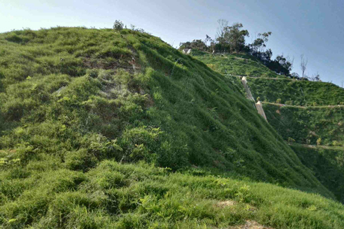 高速公路邊坡綠化液力噴播機應用范圍和使用范圍(1)