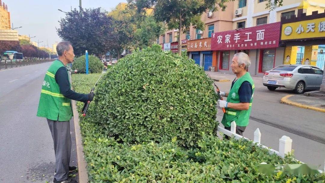 三門峽市園林綠化精細化管理工作周工作通報(10)