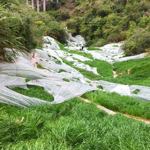 鐵嶺市植被噴播機(jī)鑄造輝煌