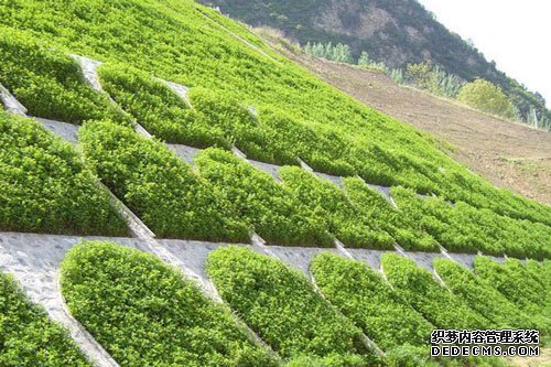 高次團粒噴播