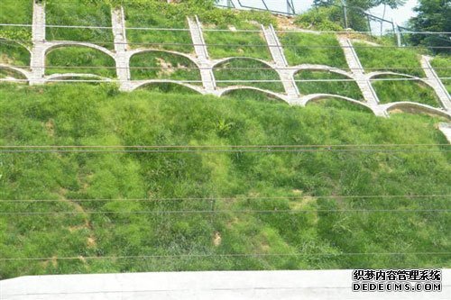 鄧州客土噴播機