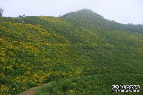 草坪建植方法