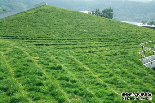 邊坡綠化植物